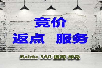 SEM推广代运营：成功案例解析与策略分享